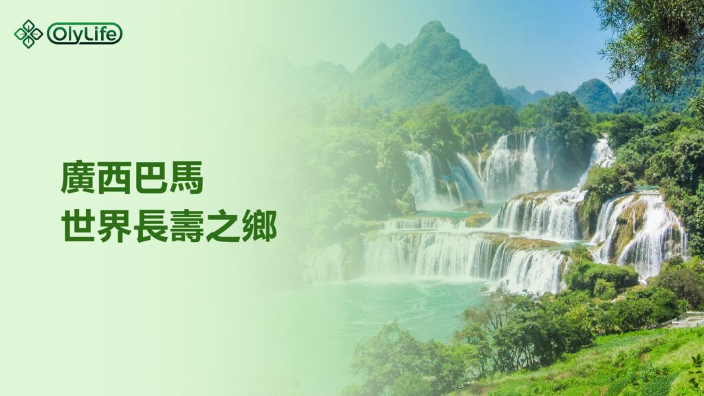 p90太赫茲兆能儀, P90足墊熱儀