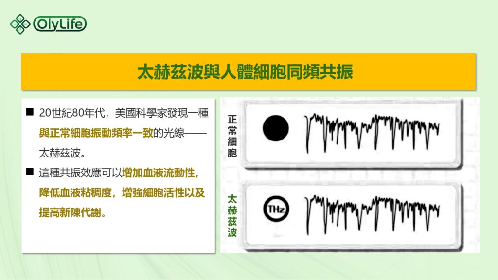 p90太赫茲兆能儀, P90足墊熱儀